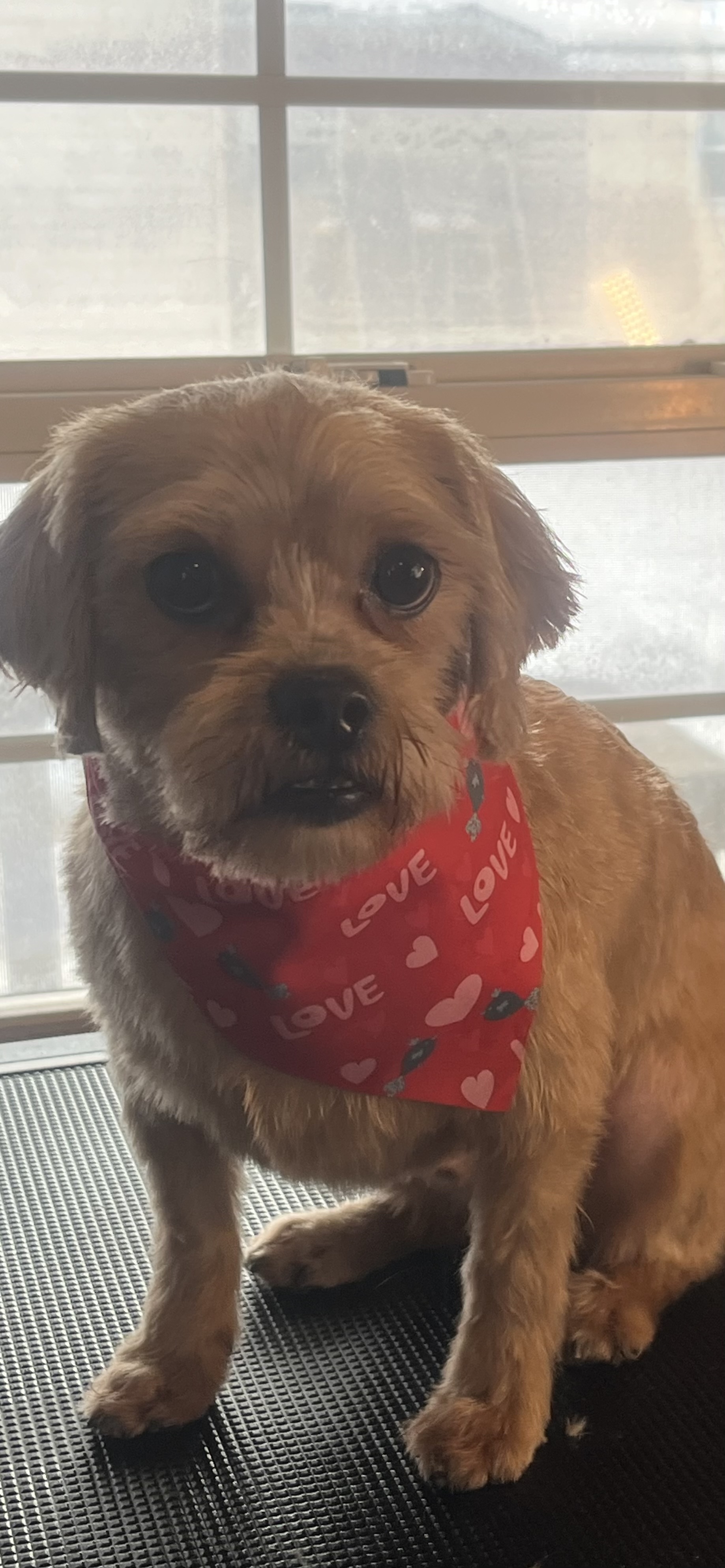After grooming
